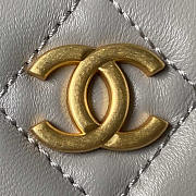 Chanel Shiny Crumpled Lambskin & Gold-Tone Metal Grey 18x29x2cm - 4