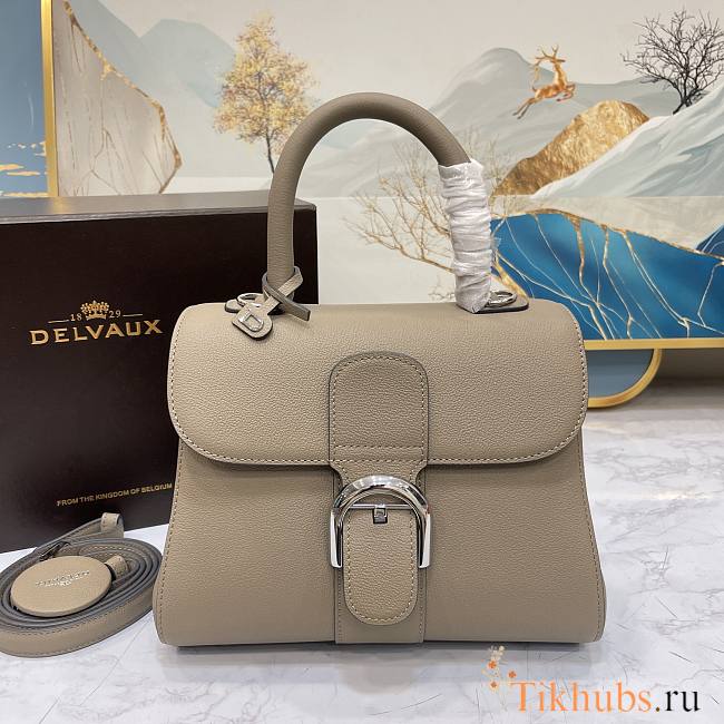 Delvaux Brillant PM Beige 24x12x19cm - 1