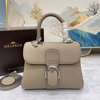 Delvaux Brillant PM Beige 24x12x19cm