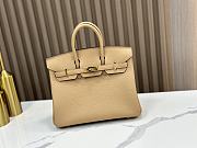 Hermes Birkin 25 Beige Gold 25x20x13cm - 1