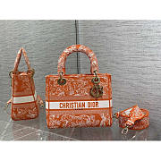 Dior Medium Lady D-Lite Bag Embroidery Orange 24cm - 1