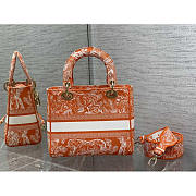 Dior Medium Lady D-Lite Bag Embroidery Orange 24cm - 4