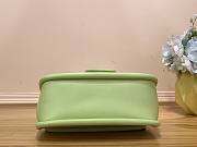 Louis Vuitton LV Hide and Seek Green 21 x 15 x 8 cm - 5