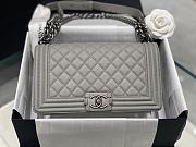 Chanel Leboy Grey Silver Caviar 25cm - 1