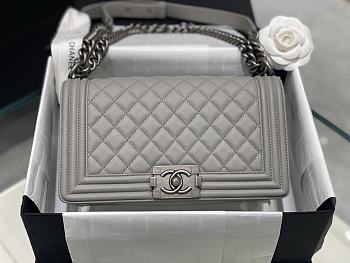 Chanel Leboy Grey Silver Caviar 25cm