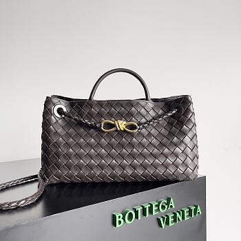 Bottega Veneta Small East/West Andiamo Brown 29x18x10cm