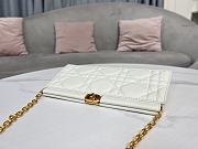 Dior Caro Colle Noire Clutch With Chain White 27.5 x 14 x 4.5 cm - 5