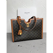 Celine Cabas 16 in Triomphe Canvas And Calfskin Bag 37x26x14cm - 1