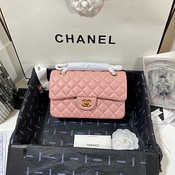 Chanel Flap Bag Light Pink Lambskin Gold 23cm