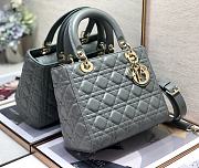 Dior Medium Lady Grey Gold 24cm - 4