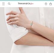 Tiffany & Co Blue Gold Bracelet - 2