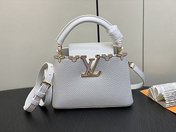 Louis Vuitton LV White Gold 21 x 14 x 8 cm