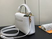 Louis Vuitton LV White Gold 21 x 14 x 8 cm - 6