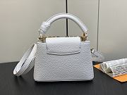 Louis Vuitton LV White Gold 21 x 14 x 8 cm - 4