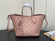 Louis Vuitton LV Blossom PM Pink 20 x 20 x 12.5 cm - 1