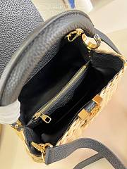Louis Vuitton LV Capucines BB Black Rattan 27 x 17 x 14 cm - 4