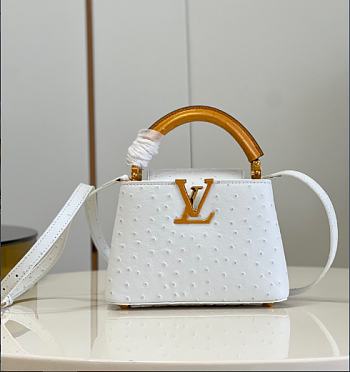 Louis Vuitton LV Mini Capucines Ostrich White 21cm