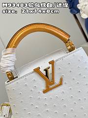 Louis Vuitton LV Mini Capucines Ostrich White 21cm - 4