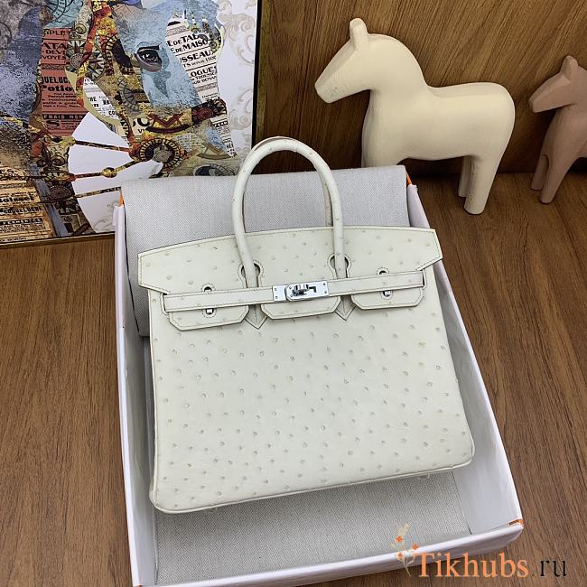 Hermes Birkin Ostrich White Silver Hardware 25cm - 1