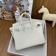 Hermes Birkin Ostrich White Silver Hardware 25cm - 2