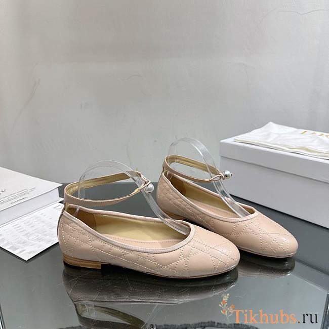 Dior Ballet Shoes Pink - 1