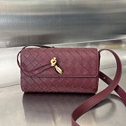 Bottega Veneta Mini Andiamo Cross-Body Bag Red Wine 21.5x13.5x4.5cm - 1