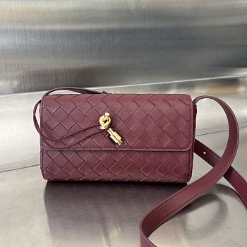 Bottega Veneta Mini Andiamo Cross-Body Bag Red Wine 21.5x13.5x4.5cm