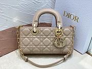 Dior Lady D-joy Bag Beige Gold 22x13x4cm - 2