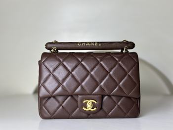 Chanel Small Handle Flap Bag Lambskin Wood Gold Brown 21x13.5x6cm