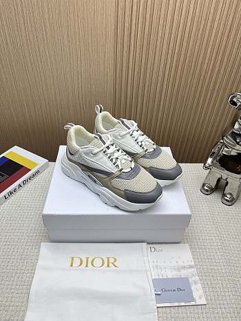 Dior B22 White Grey Sneaker