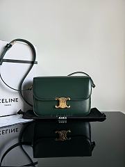 Celine Triomphe Bag In Shiny Calfskin Green 22x16.5x7cm - 1