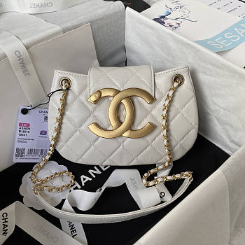 Chanel Small Messenger White Gold Bag 21x14x5cm