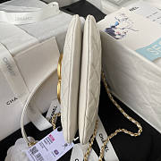 Chanel Small Messenger White Gold Bag 21x14x5cm - 4