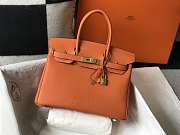 Hermes Birkin Togo 25 Orange Gold Hardware 25cm - 1