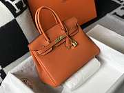 Hermes Birkin Togo 25 Orange Gold Hardware 25cm - 6