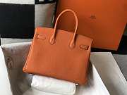 Hermes Birkin Togo 25 Orange Gold Hardware 25cm - 2