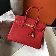 Hermes Birkin Togo 25 Red Gold Hardware 25cm - 1