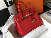 Hermes Birkin Togo 25 Red Gold Hardware 25cm - 5