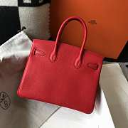 Hermes Birkin Togo 25 Red Gold Hardware 25cm - 4