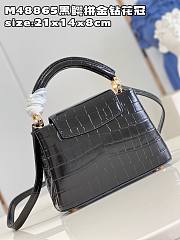 Louis Vuitton LV Mini Capucines Crocodile Black 21cm - 2