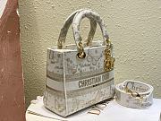 Dior Medium Lady D-Lite Bag Gold-Tone and White Butterfly 24 x 20 x 11 cm - 4