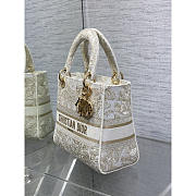 Dior Medium Lady D-Lite Bag Gold White Butterfly Around The World 24x11x20cm - 5