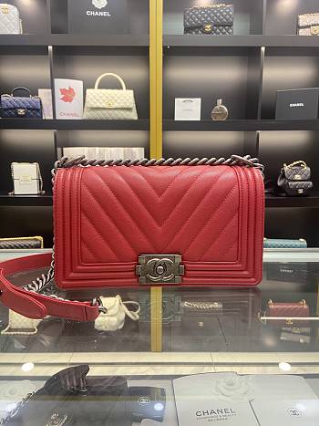 Chanel Leboy Bag Caviar Red Caviar Silver 25cm