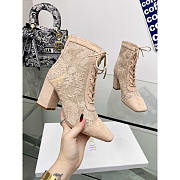 Dior Naughtily-D Ankle Boot Transparent Mesh Suede Calfskin Beige 8cm - 1