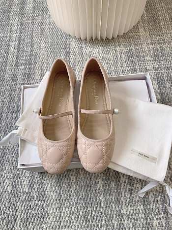 Dior Ballets Pink Shoes