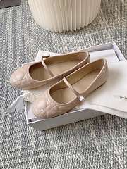 Dior Ballets Pink Shoes - 4