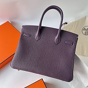 Hermes Birkin 30 Togo Purple Gold Hardware 30cm - 2