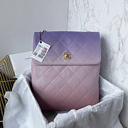 Chanel Large Hobo Bag Gold Metal Purple 38×29.5x11cm - 1