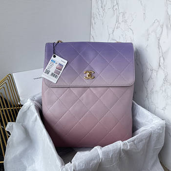 Chanel Large Hobo Bag Gold Metal Purple 38×29.5x11cm