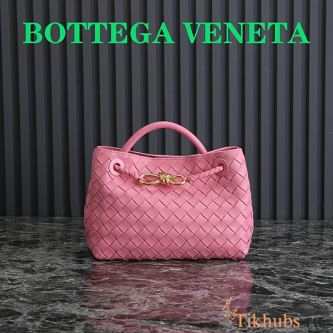 Bottega Veneta Small Andiamo Pink 25x22x10.5cm  - 1